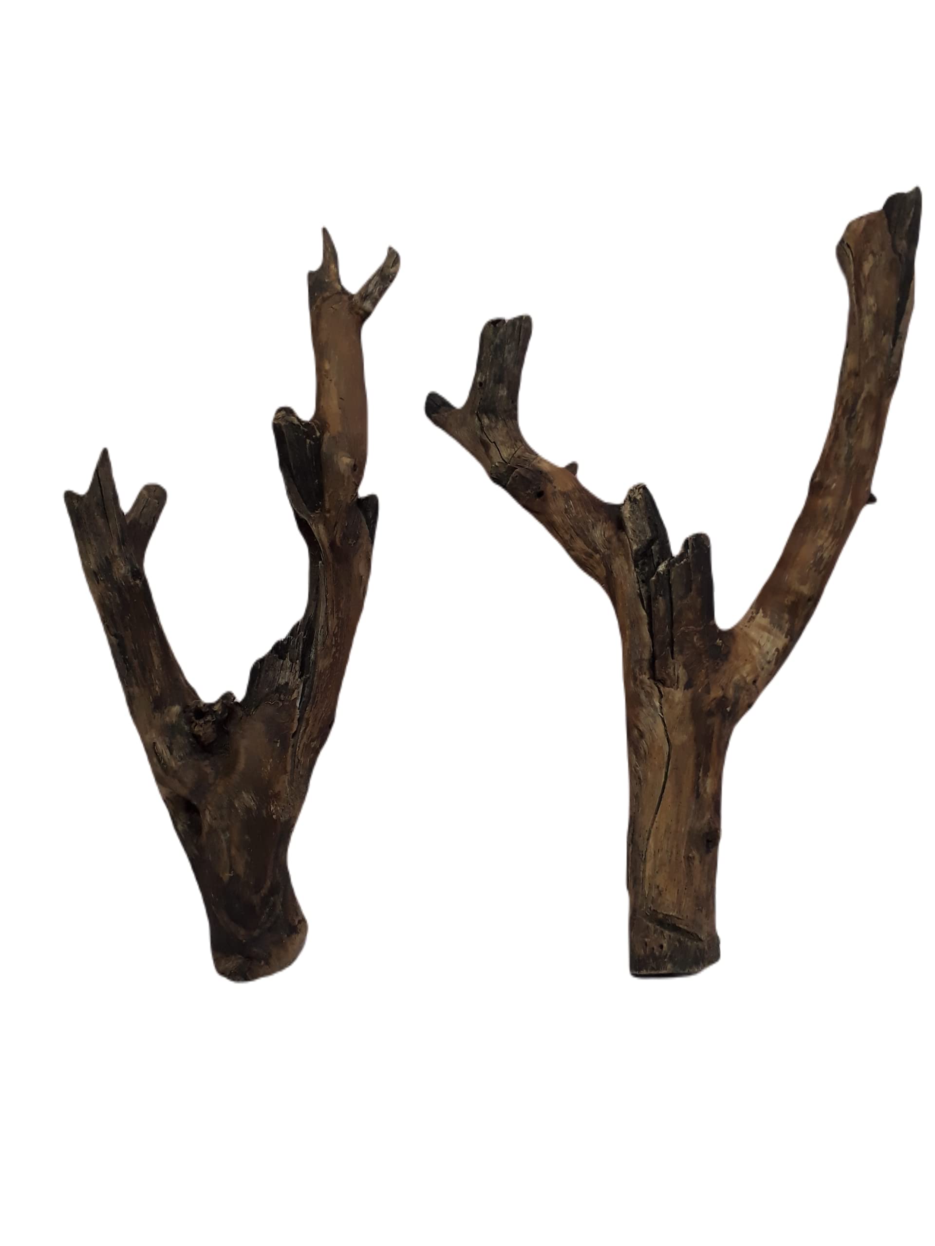 Driftwood for Aquarium Original Teak Broken driftwood Two Pieces Total weight 1.2 Kg (Random Shape)