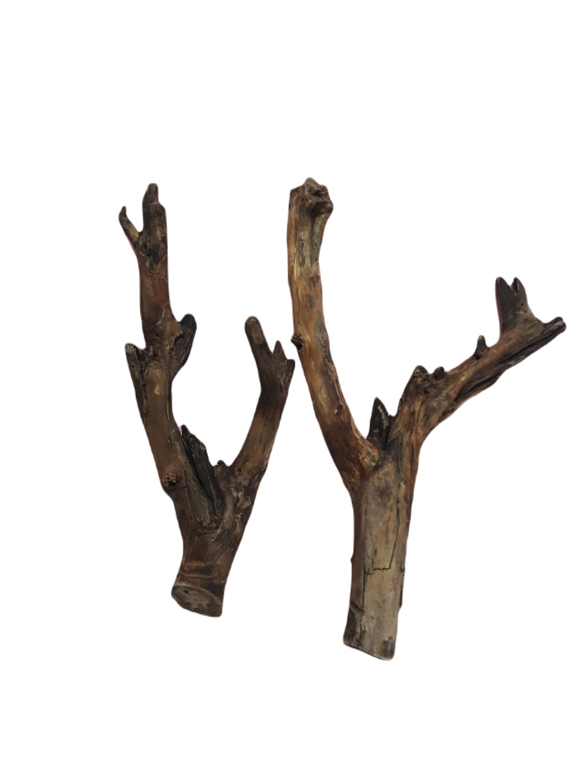 Driftwood for Aquarium Original Teak Broken driftwood Two Pieces Total weight 1.2 Kg (Random Shape)