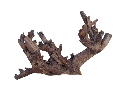 Teak Driftwood For Aquarium 58 cm long 