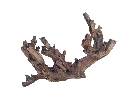 Teak Driftwood For Aquarium 58 cm long 