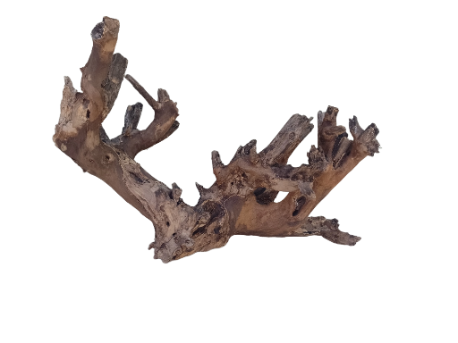 Teak Driftwood For Aquarium 58 cm long 