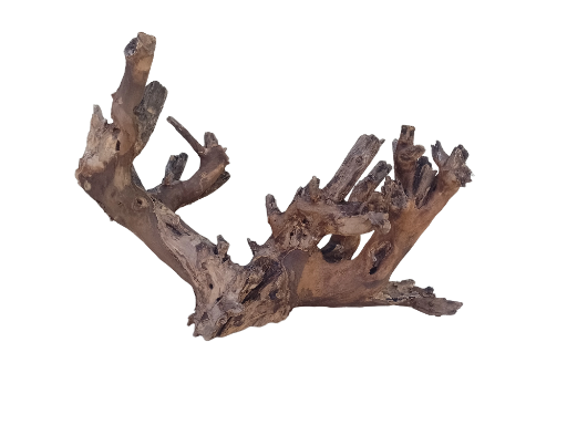 Teak Driftwood For Aquarium 58 cm long 