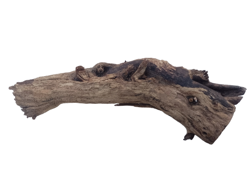 Natural Driftwood Piece 50 cm long 