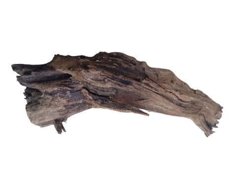 Natural Driftwood Piece 50 cm long 
