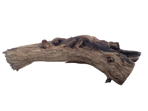 Natural Driftwood Piece 50 cm long 
