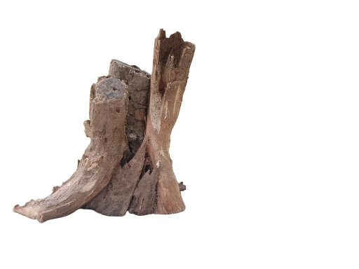 Rustic Driftwood Tree Root 30 Cm long & Height 