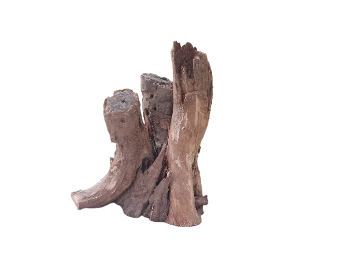 Rustic Driftwood Tree Root 30 Cm long & Height 