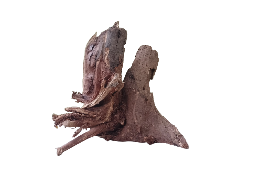 Rustic Driftwood Tree Root 30 Cm long & Height 