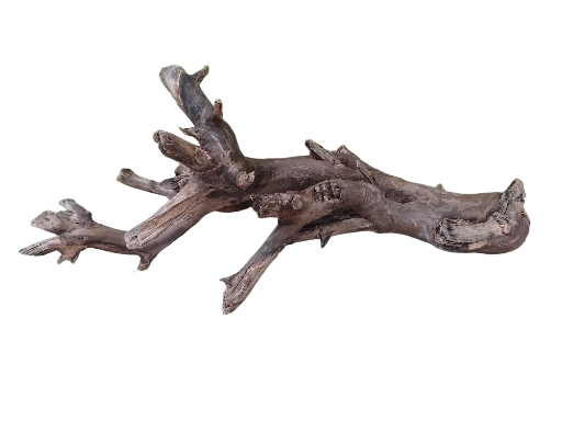 Driftwood for Aquarium Original teak wood Branch 70 cm long 