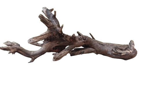 Driftwood for Aquarium Original teak wood Branch 70 cm long 