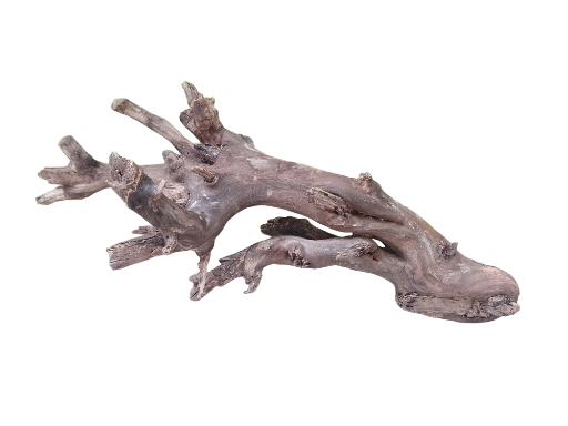 Driftwood for Aquarium Original teak wood Branch 70 cm long 