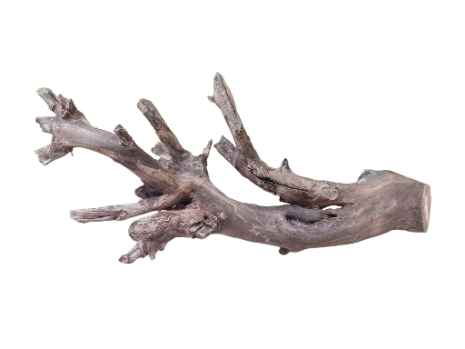 Driftwood for Aquarium Original teak wood Branch 70 cm long 