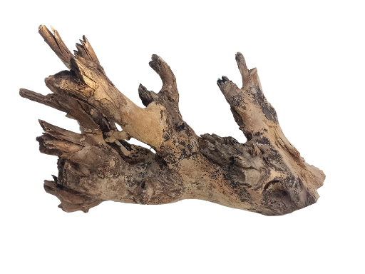 Natural Teak Driftwood Branch 30 Cm Long 