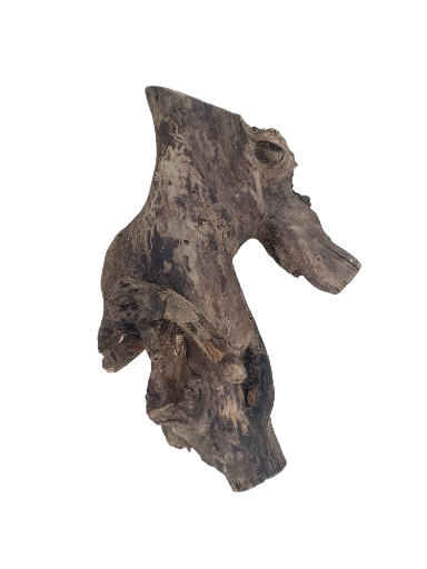 Solid Teak Driftwood Piece 50 Cm Long and 5.3 KG weight