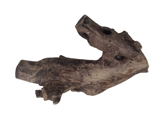 Solid Teak Driftwood Piece 50 Cm Long and 5.3 KG weight