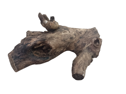 Solid Teak Driftwood Piece 50 Cm Long and 5.3 KG weight