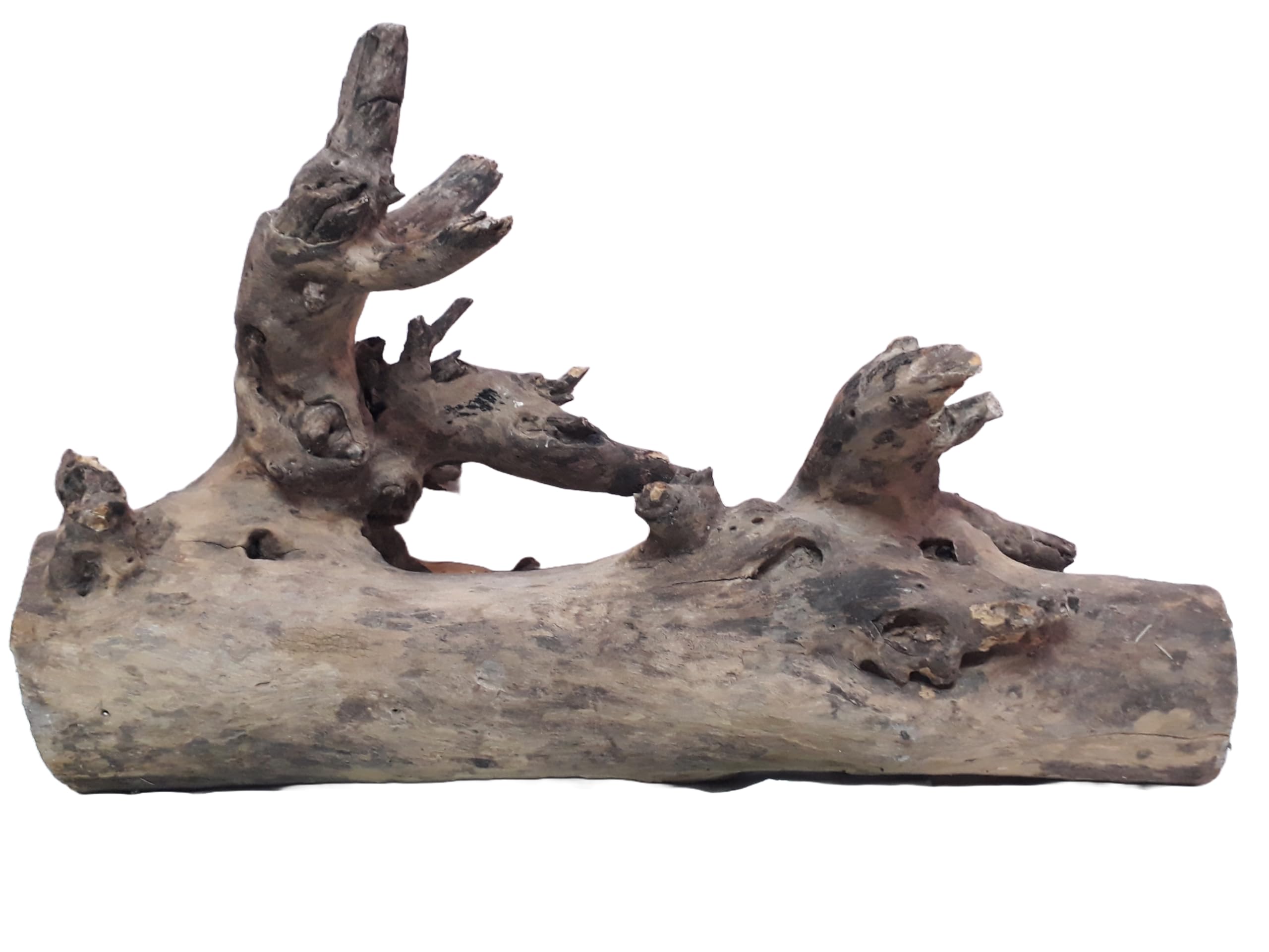Driftwood For Aquarium Original Teak wood 6.5 Kg Weight 60 cm long