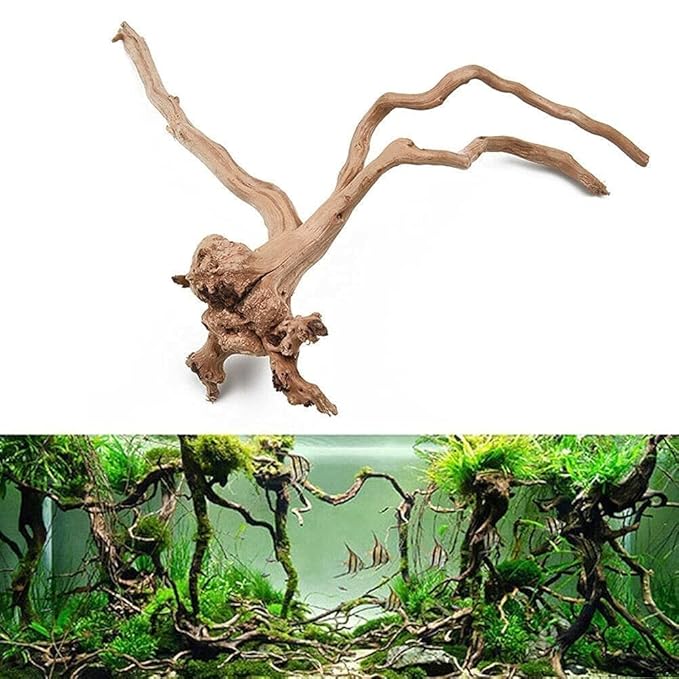 1Pcs Small 5to 8 Inches Natural Driftwood Aquarium Decoration Retro Style Tree Root Design Display (Random Shape)