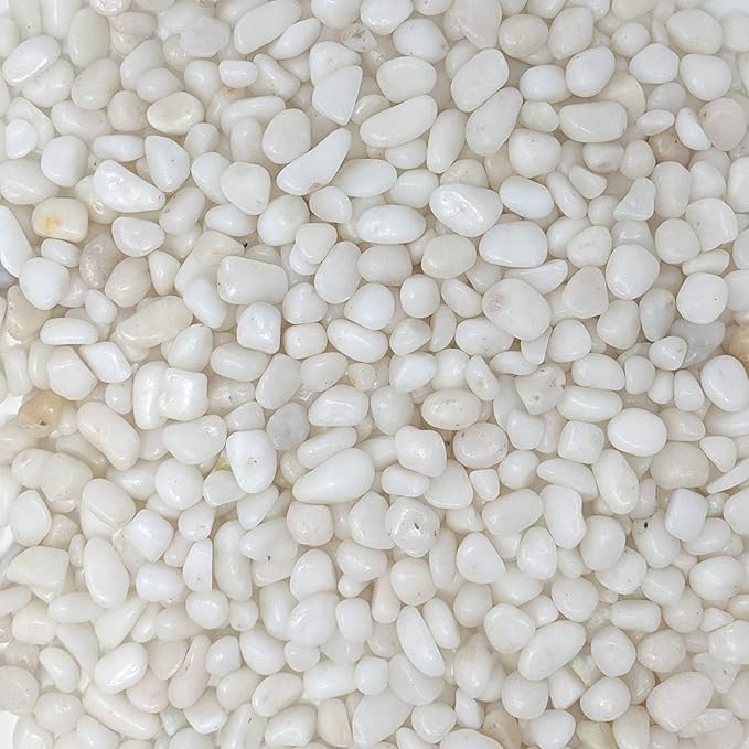 Natural Polished White Marble Stones (1 kg) – Small (7-20mm) Decorative Substrate for Aquariums, Fish Bowls, Turtle Tanks, Terrariums, Succulents, Garden Pots, 