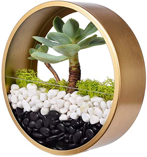 Small Black Pebbles for Decoration - Pebbles for Plants Pots - Pebbles for Garden, Fish Tank Aquarium, Table, Vase Fillers (1 Kg, Black Stones