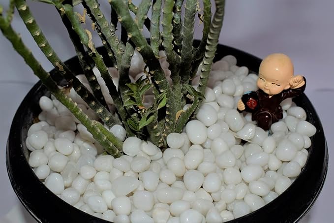 White Decorative Pebbles 1 kg 