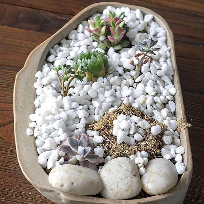 White Decorative Pebbles 1 kg 