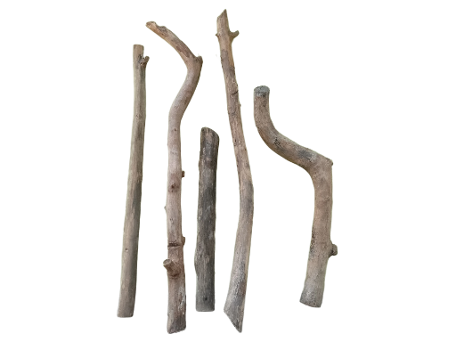 Assorted Wooden Branches 5 Pieces various sizes 