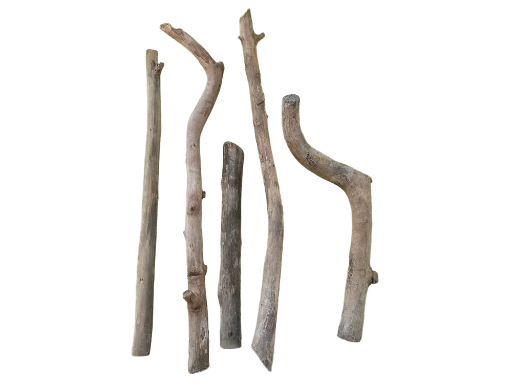 Assorted Wooden Branches 5 Pieces various sizes 