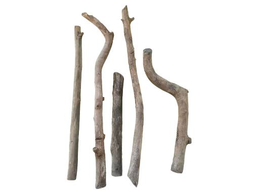 Assorted Wooden Branches 5 Pieces various sizes 