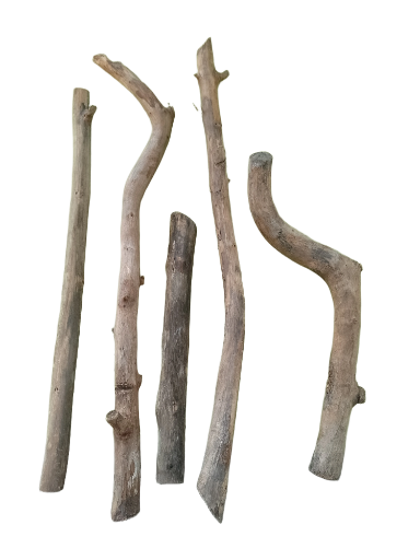 Assorted Wooden Branches 5 Pieces various sizes 