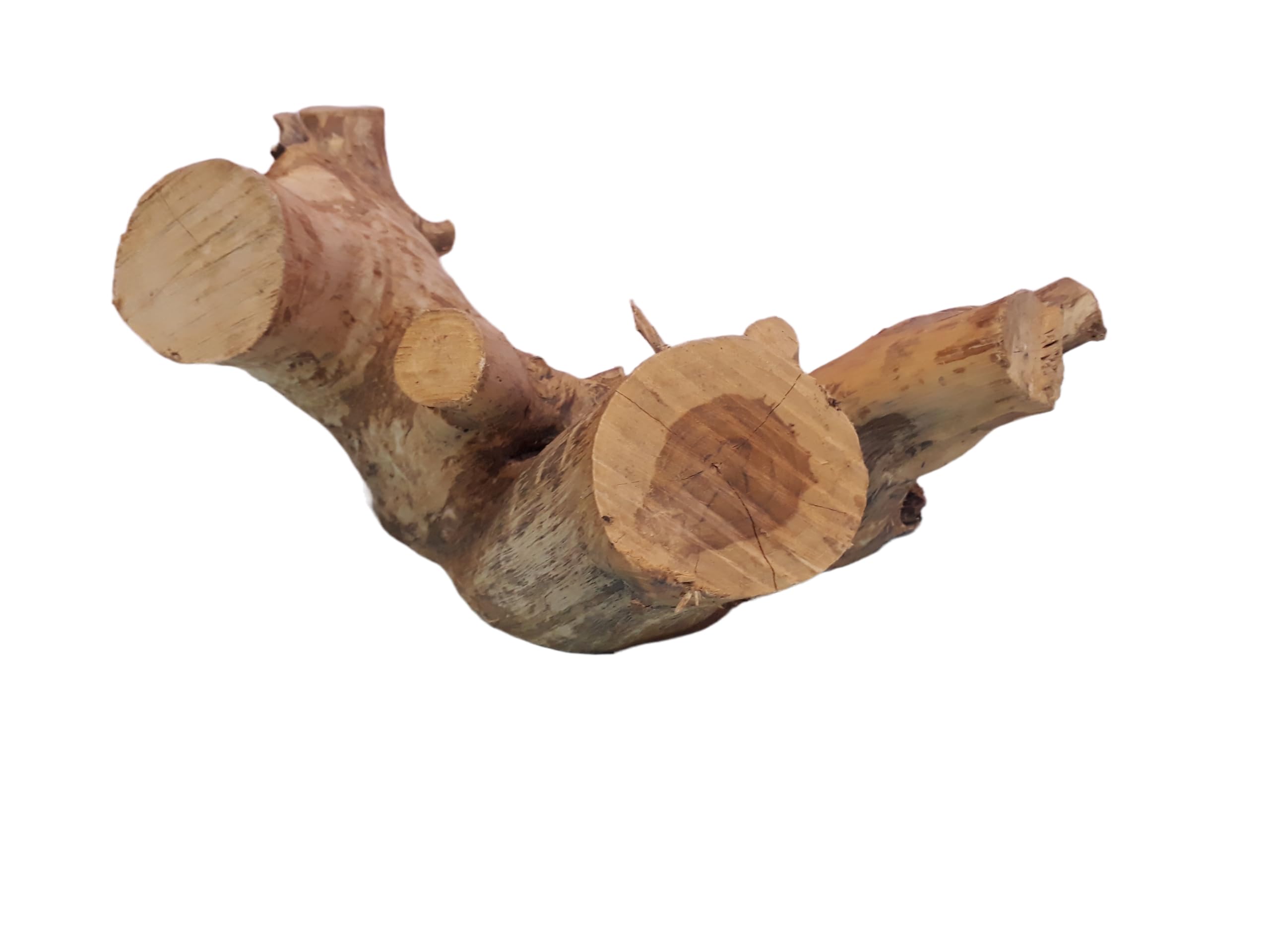 Driftwood For Aquairum Original Teak wood Solid Wood Branch 3 KG Weight and 37 Cm Long