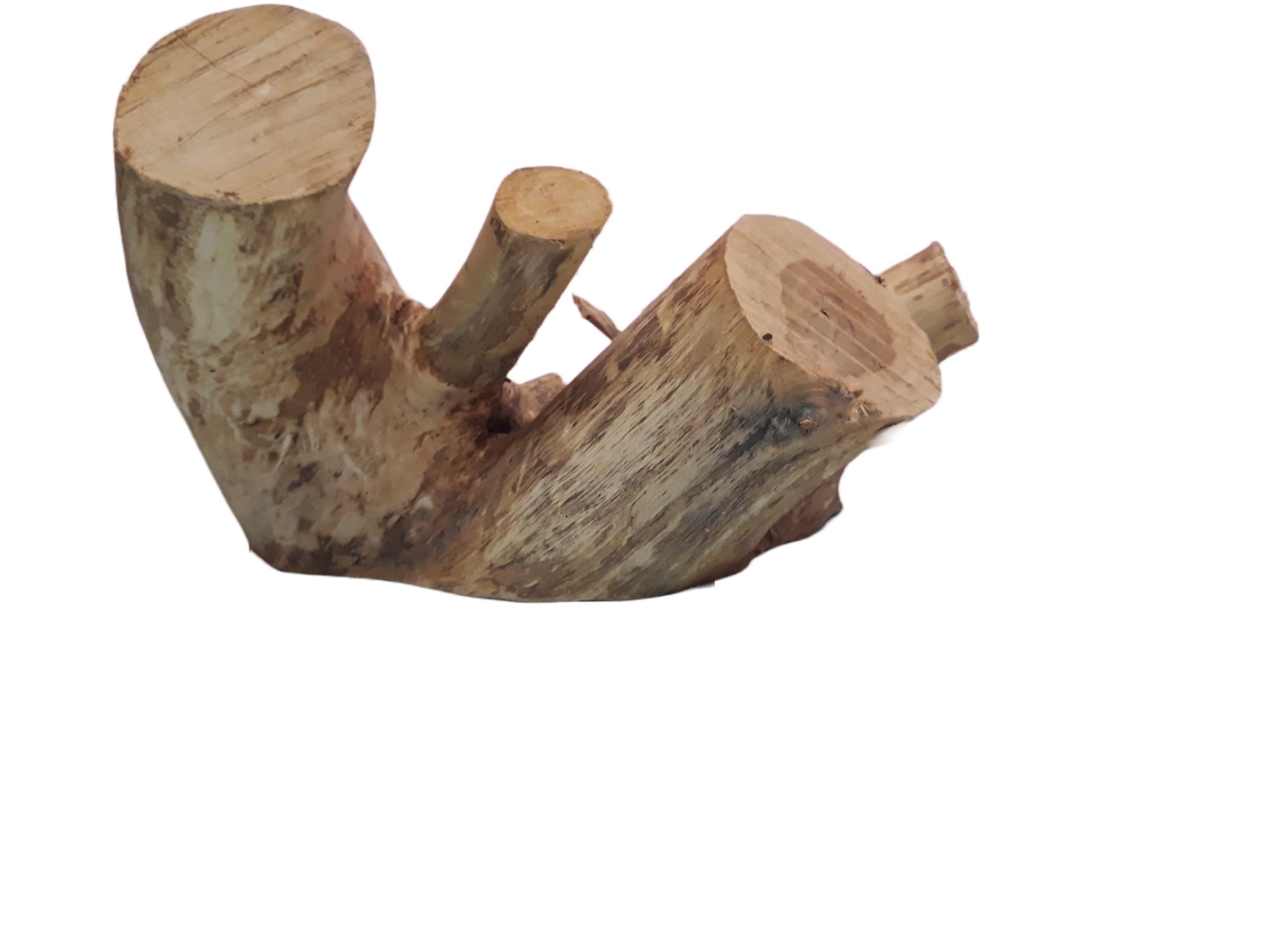 Driftwood For Aquairum Original Teak wood Solid Wood Branch 3 KG Weight and 37 Cm Long