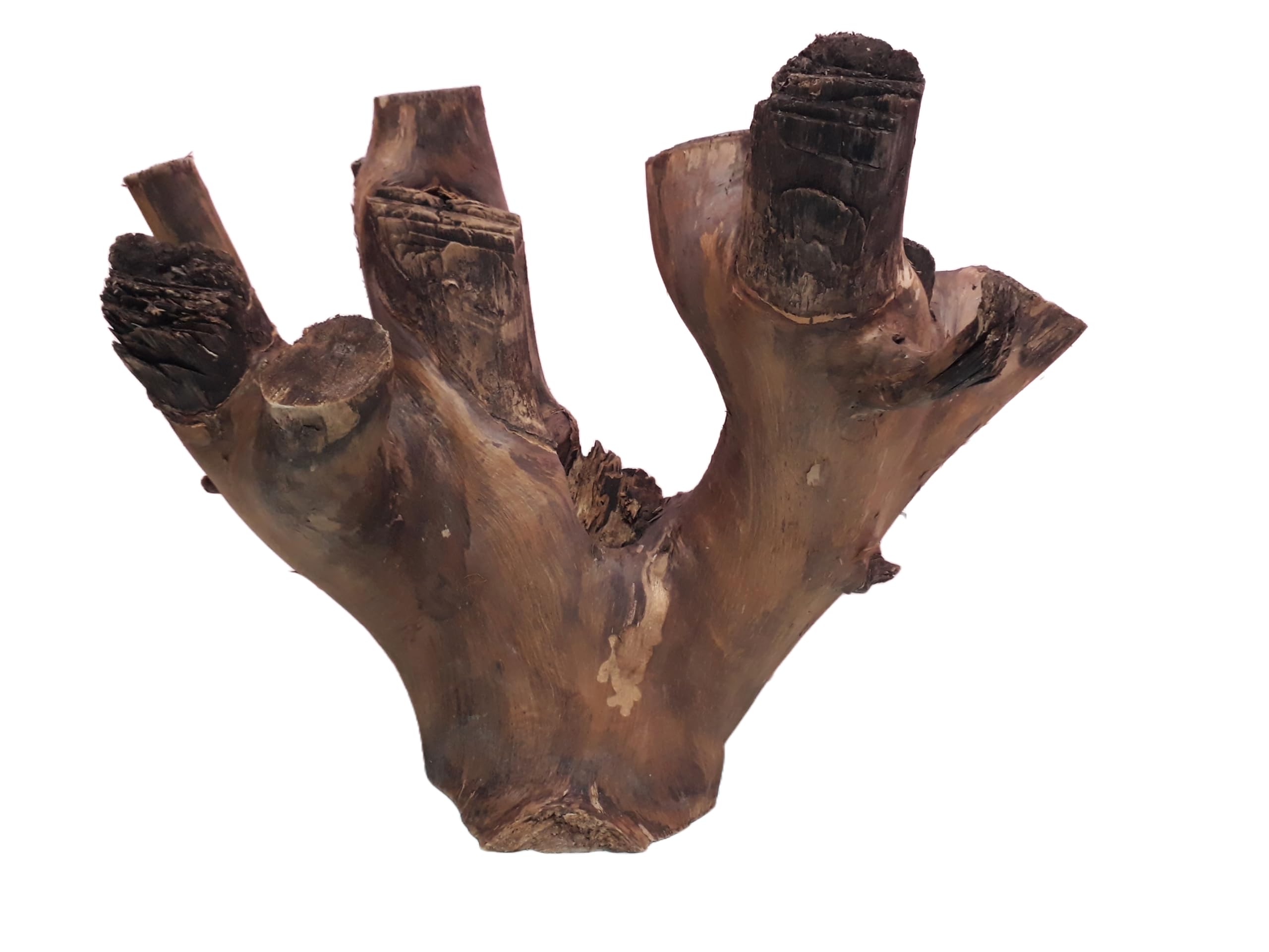 Rustic Tree Trunk Decor Driftwood for Aquarium  40 CM Long and 4.4 KG weight Suitable for Large Tank (similar piece)