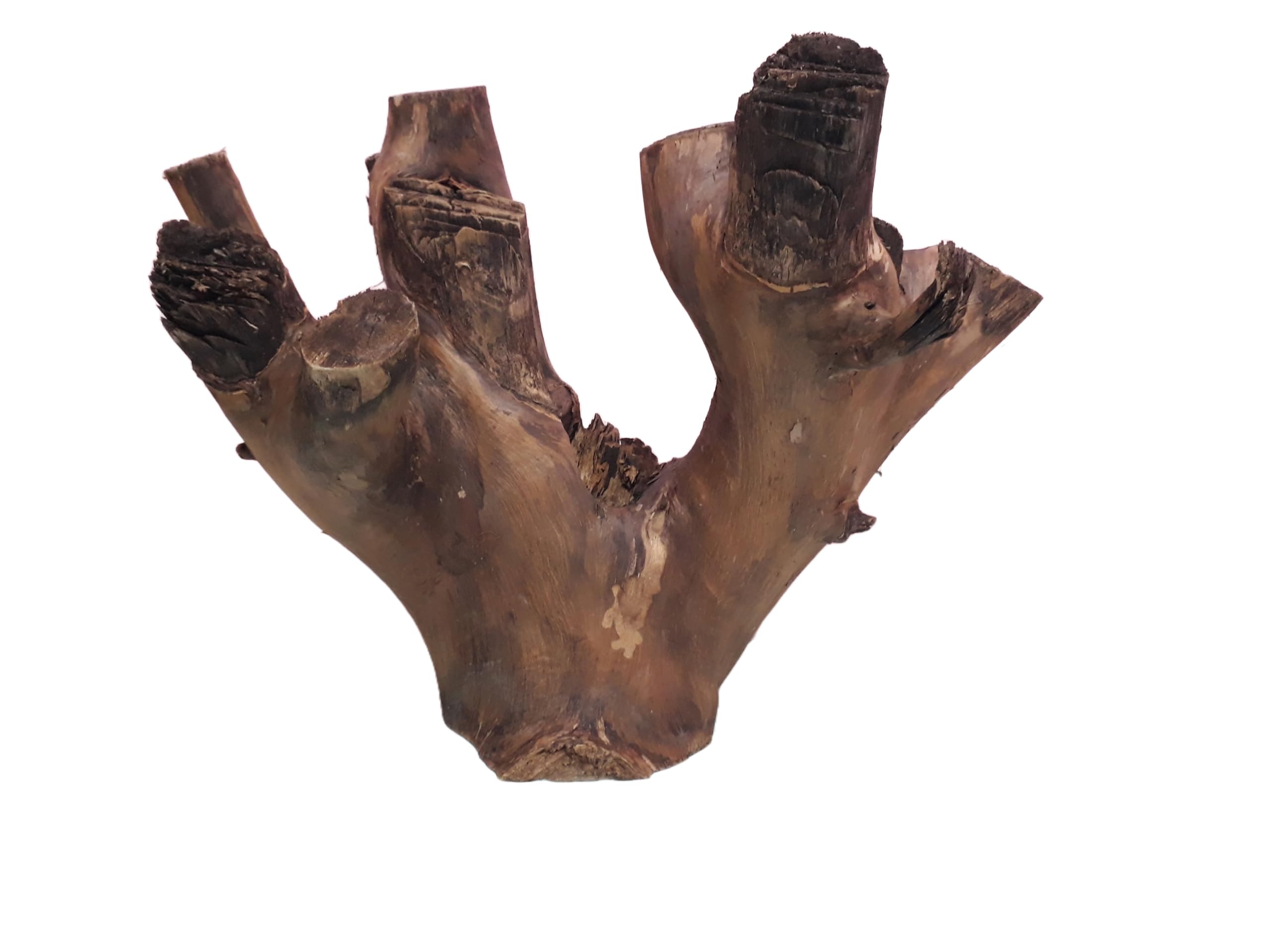 Rustic Tree Trunk Decor Driftwood for Aquarium  40 CM Long and 4.4 KG weight Suitable for Large Tank (similar piece)