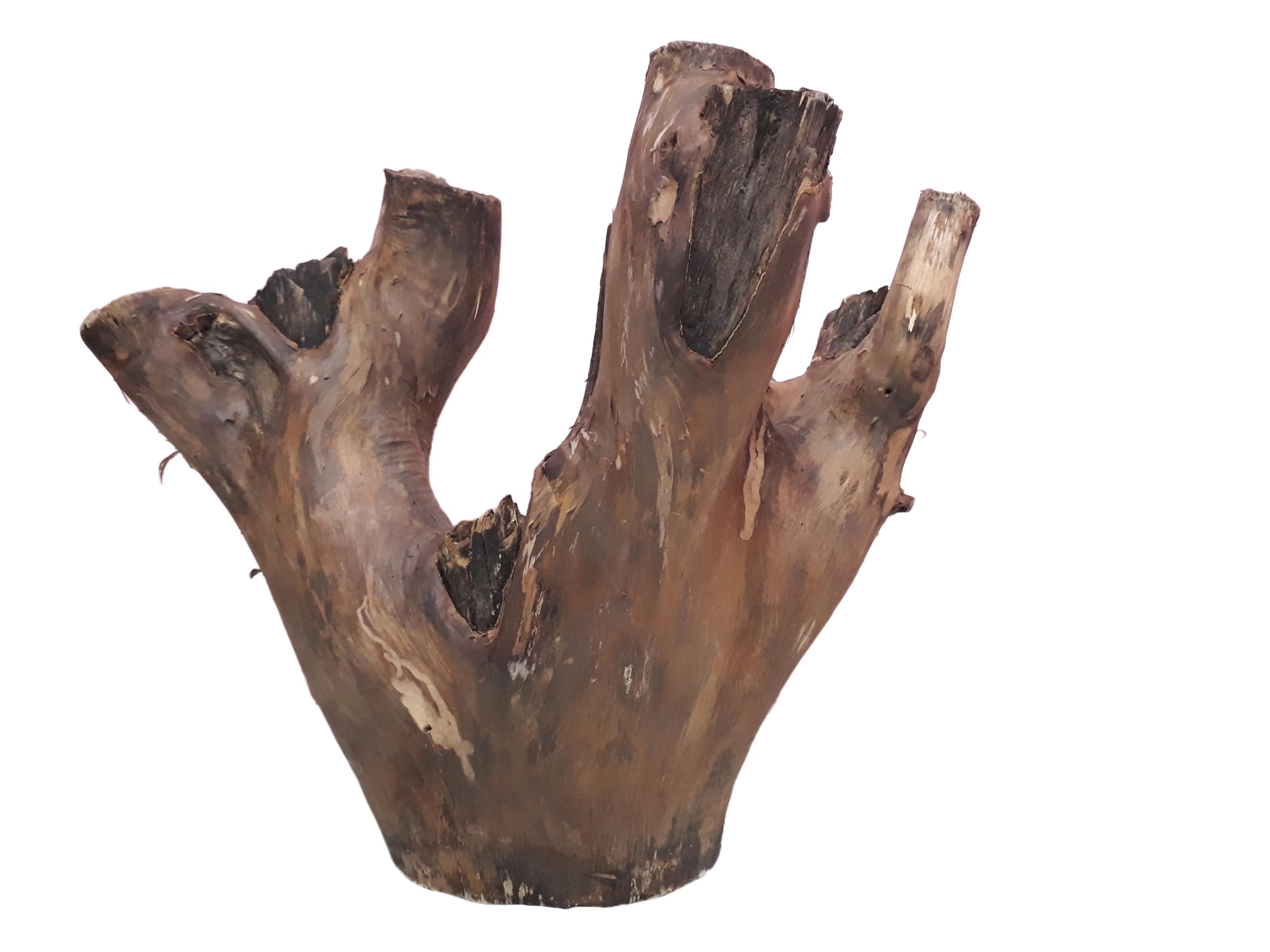 Rustic Tree Trunk Decor Driftwood for Aquarium  40 CM Long and 4.4 KG weight Suitable for Large Tank (similar piece)