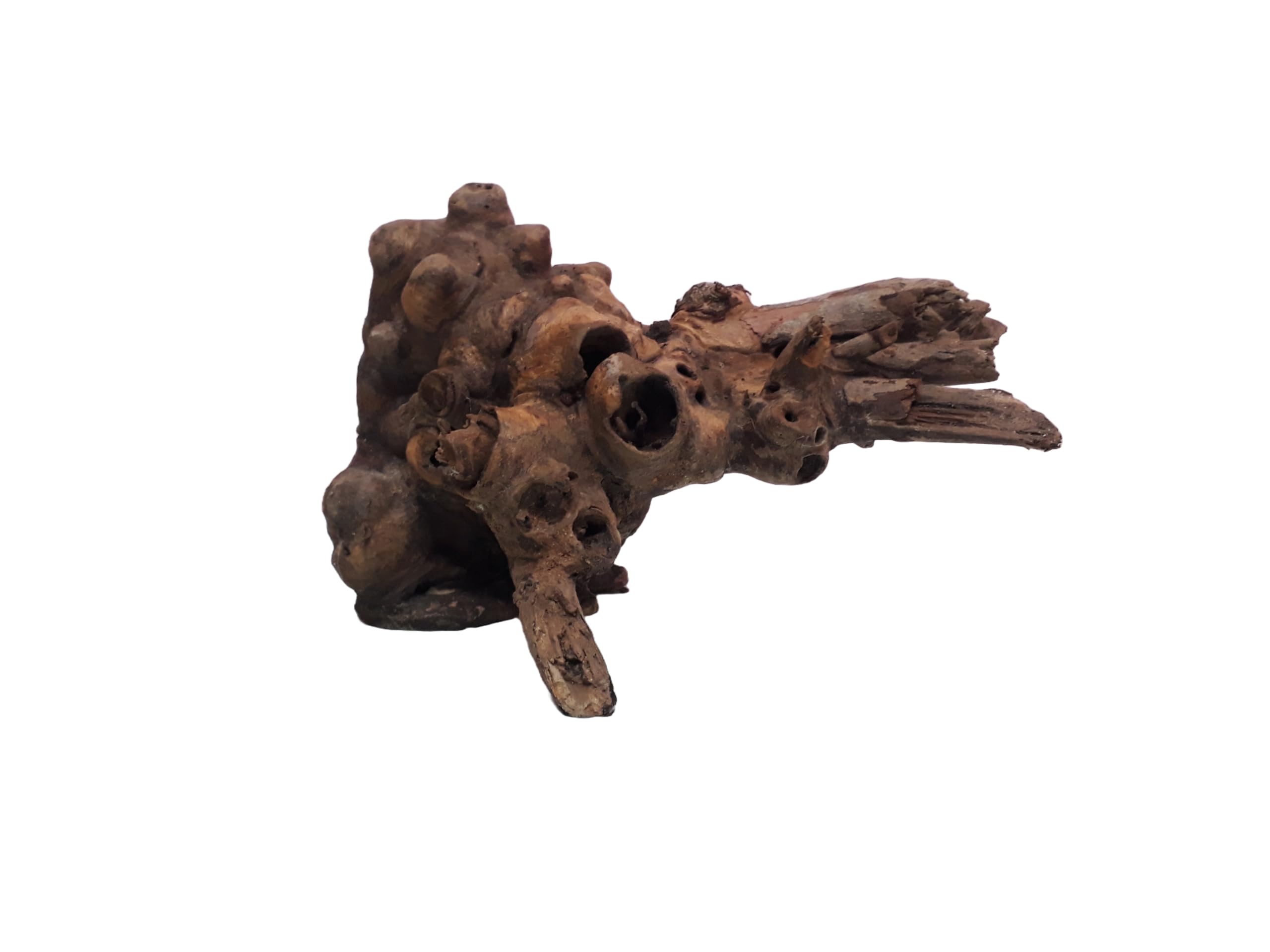 Driftwood for Aquairum Tree root with Branches Weight 2 Kg and 35 CM Long