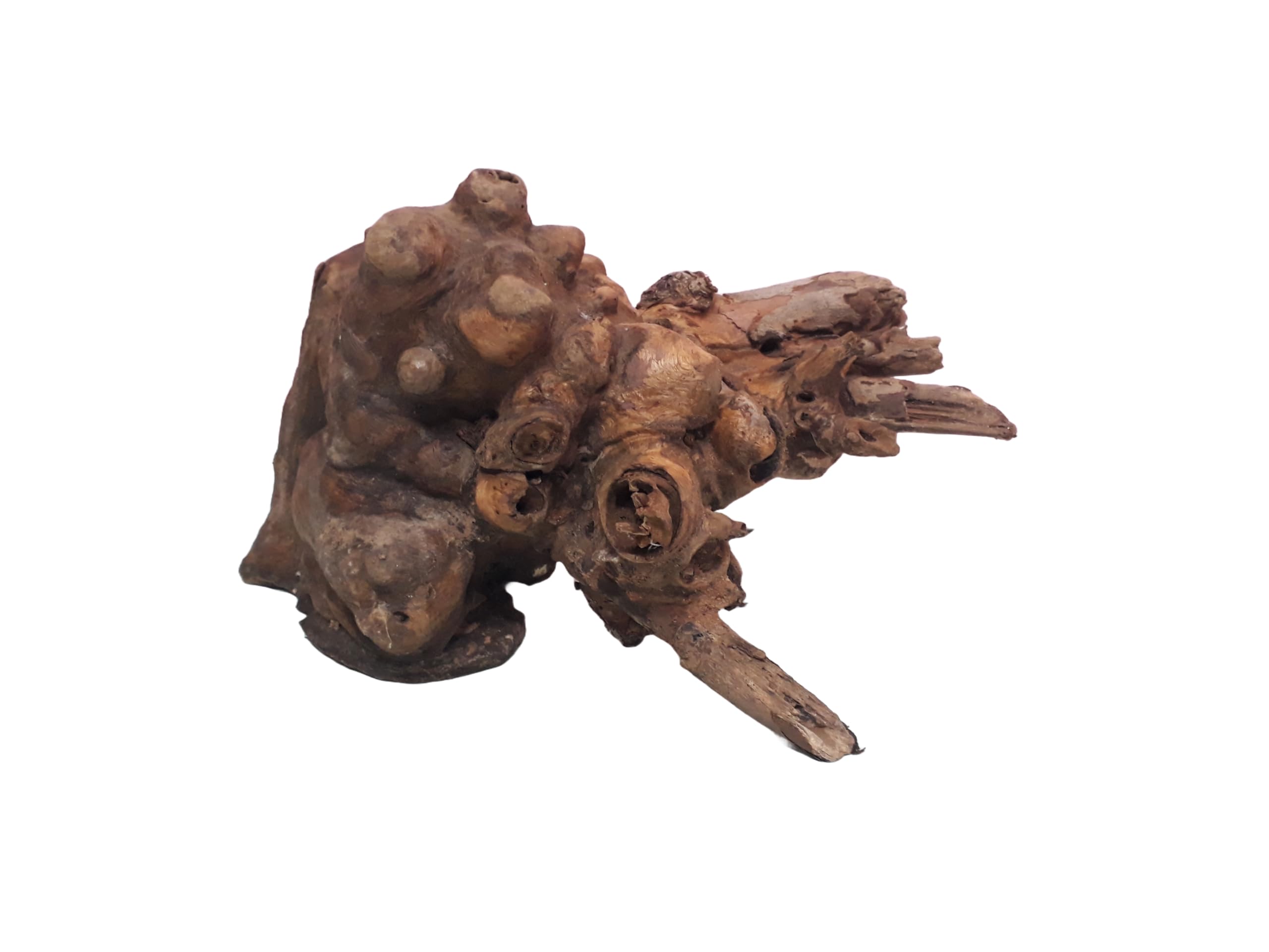 Driftwood for Aquairum Tree root with Branches Weight 2 Kg and 35 CM Long