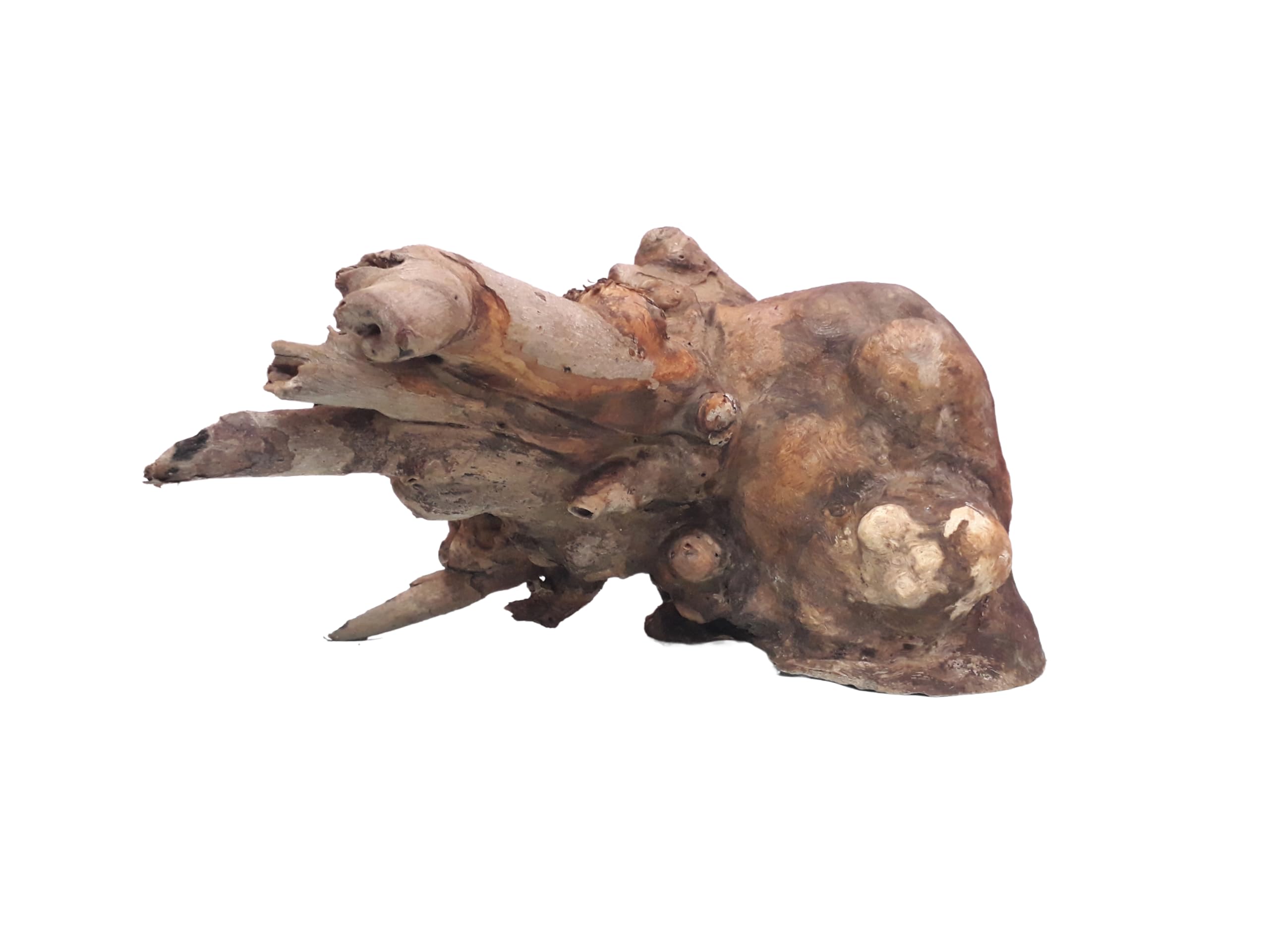 Driftwood for Aquairum Tree root with Branches Weight 2 Kg and 35 CM Long
