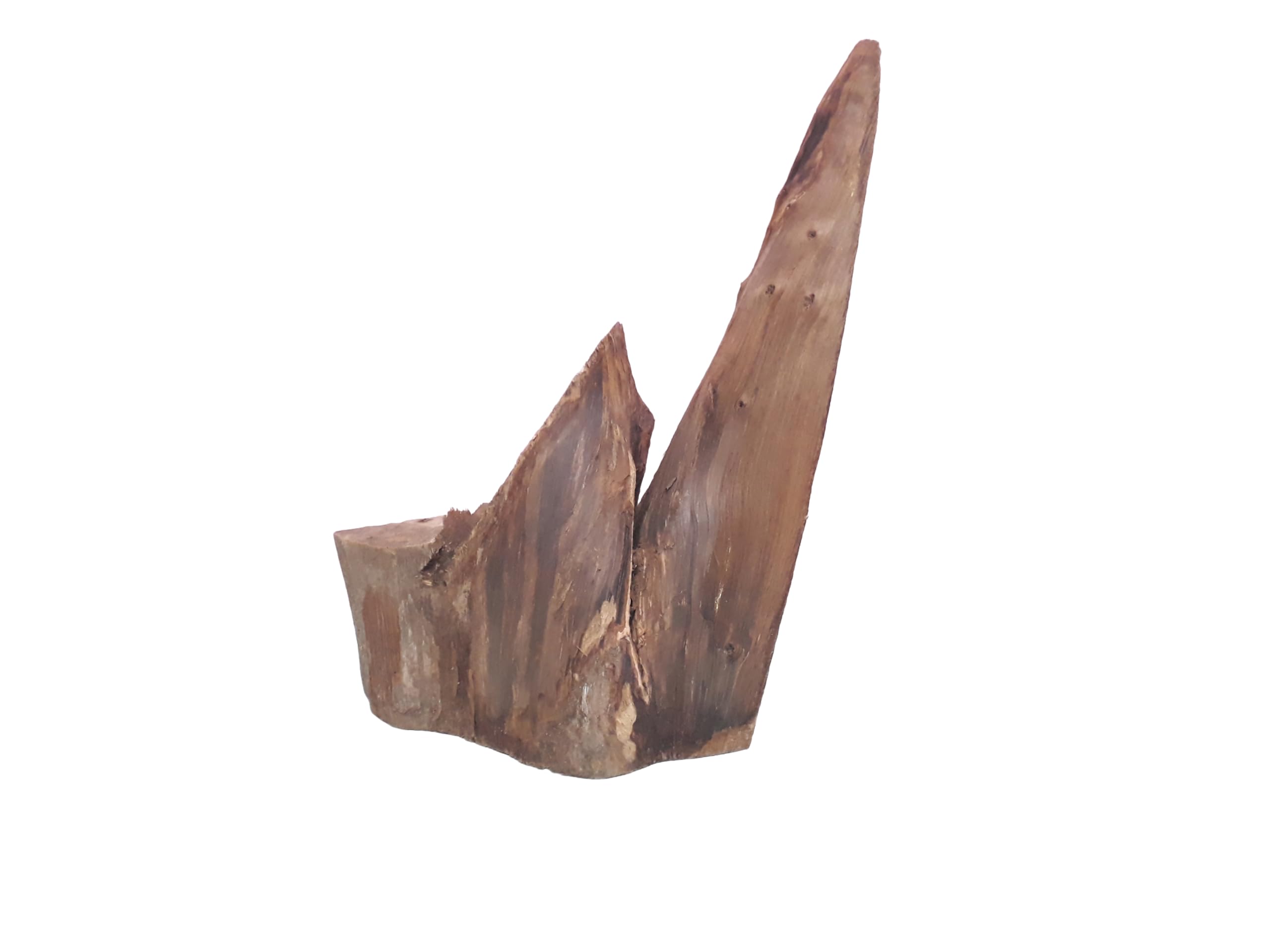 Driftwood for Aquarium Original Teak cut Mountain type wood Weight 1.8 Kg and 50 CM Long