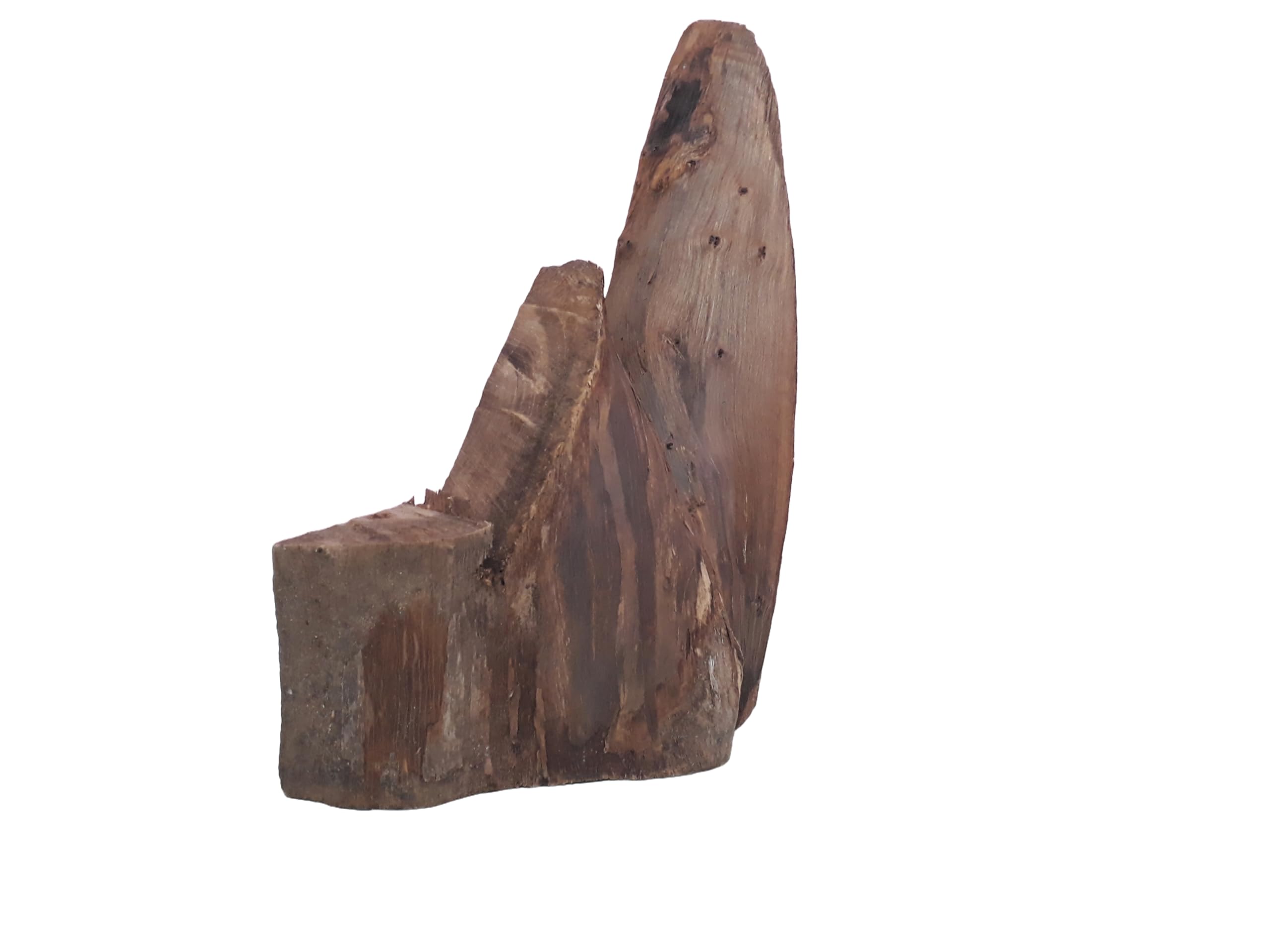 Driftwood for Aquarium Original Teak cut Mountain type wood Weight 1.8 Kg and 50 CM Long