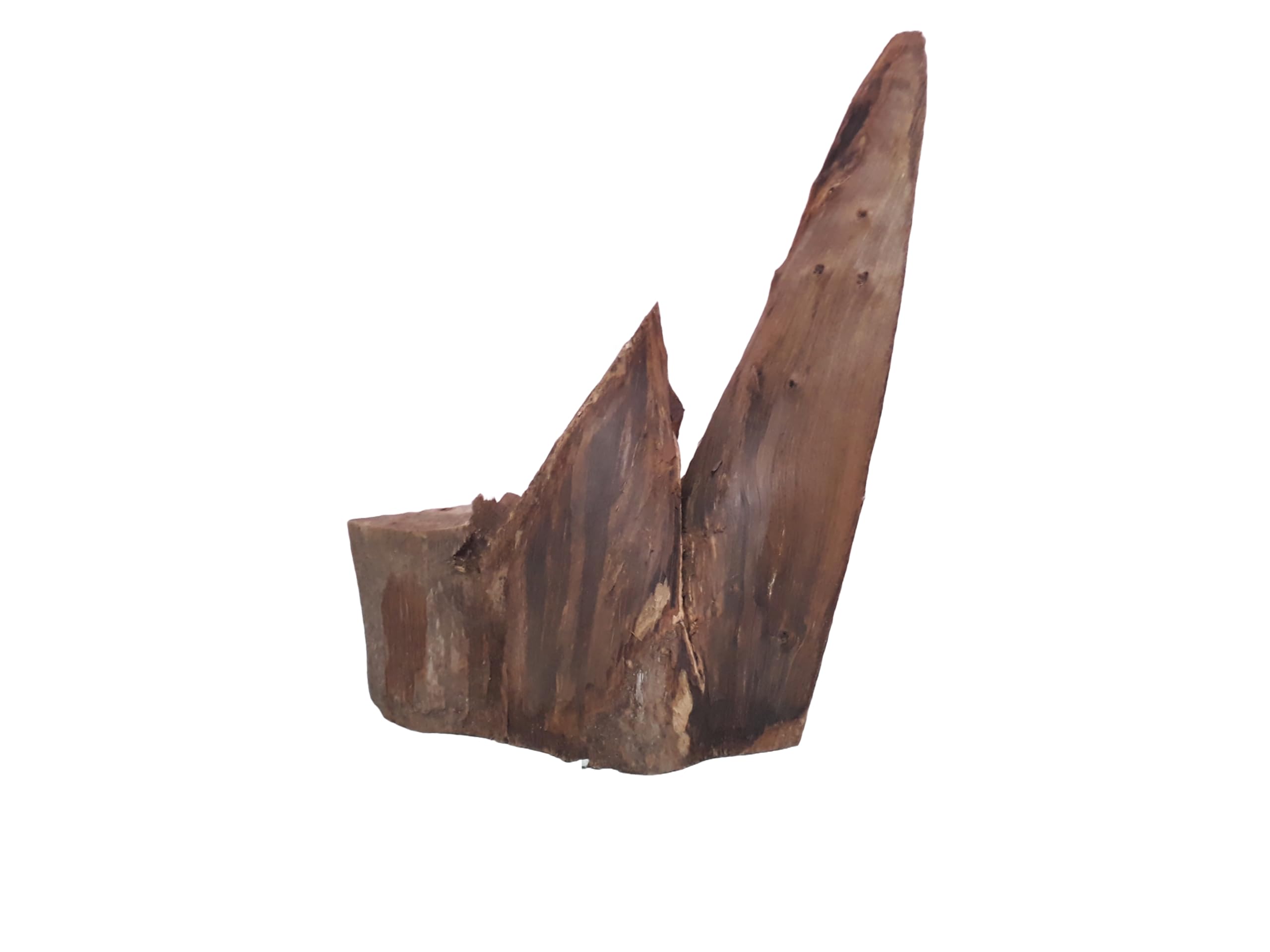 Driftwood for Aquarium Original Teak cut Mountain type wood Weight 1.8 Kg and 50 CM Long