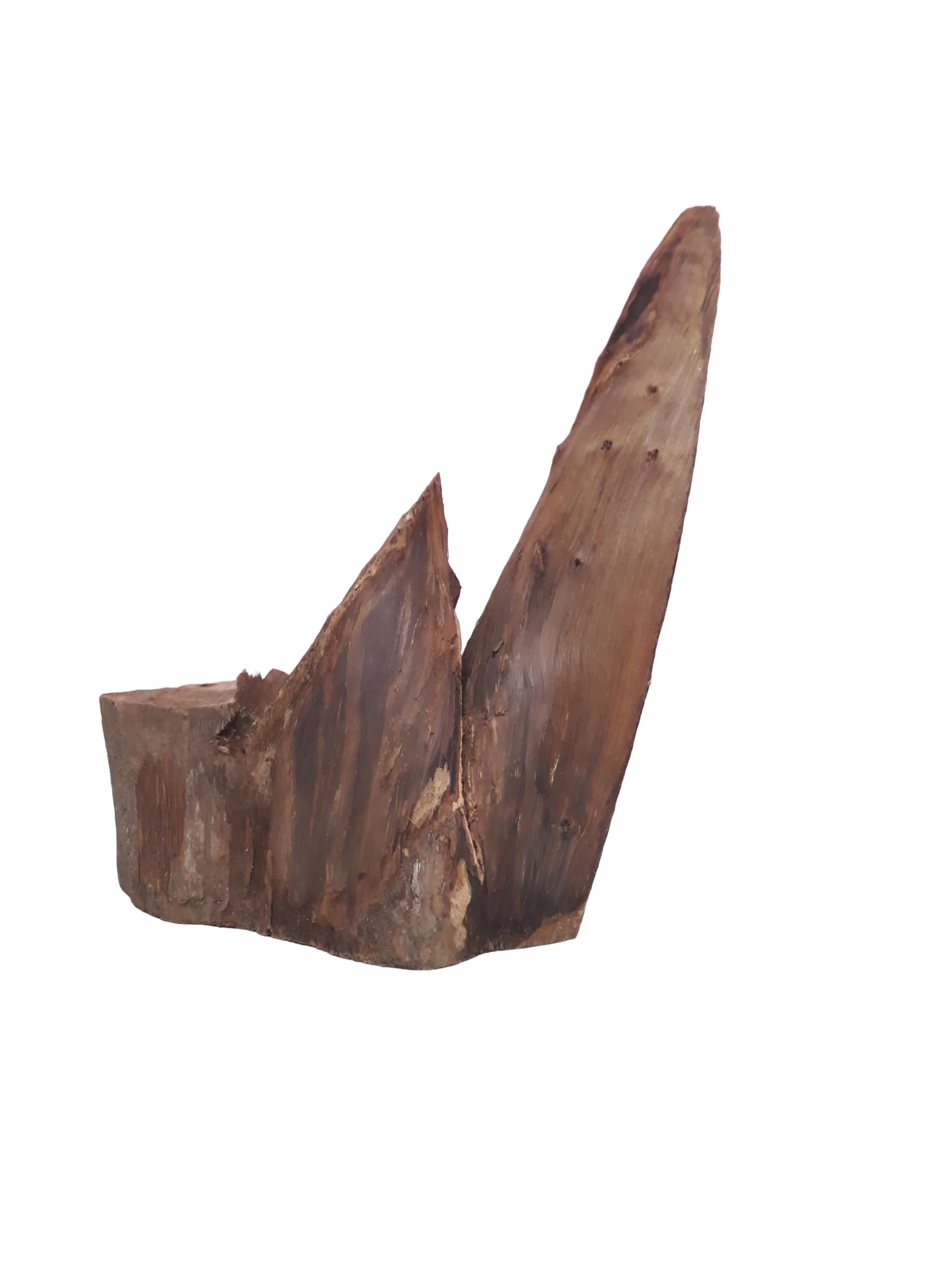 Driftwood for Aquarium Original Teak cut Mountain type wood Weight 1.8 Kg and 50 CM Long