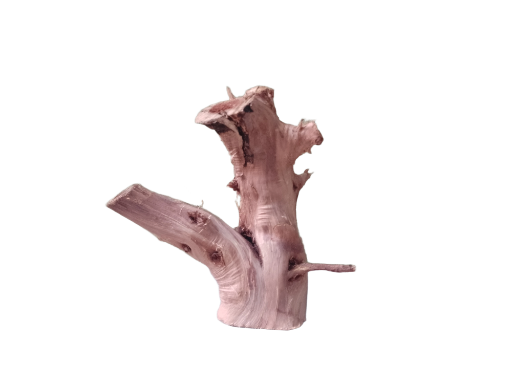 Natural Driftwood Piece 25 Cm Height and 1.5 KG Country wood 