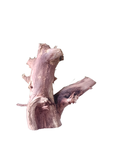 Natural Driftwood Piece 25 Cm Height and 1.5 KG Country wood 
