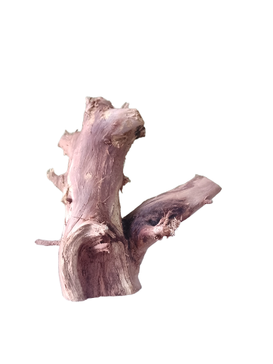 Natural Driftwood Piece 25 Cm Height and 1.5 KG Country wood 