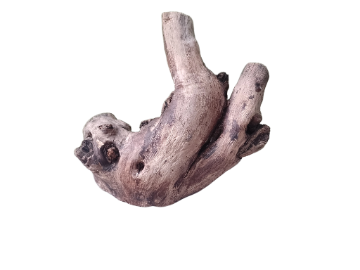 Natural Teak Driftwood for Aquarium 32 CM Long and 2.2 Kg Weight  