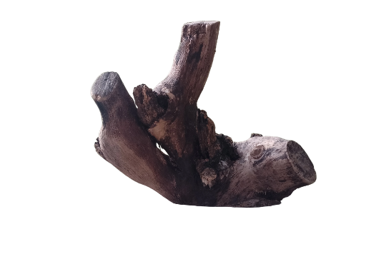 Natural Teak Driftwood for Aquarium 32 CM Long and 2.2 Kg Weight  