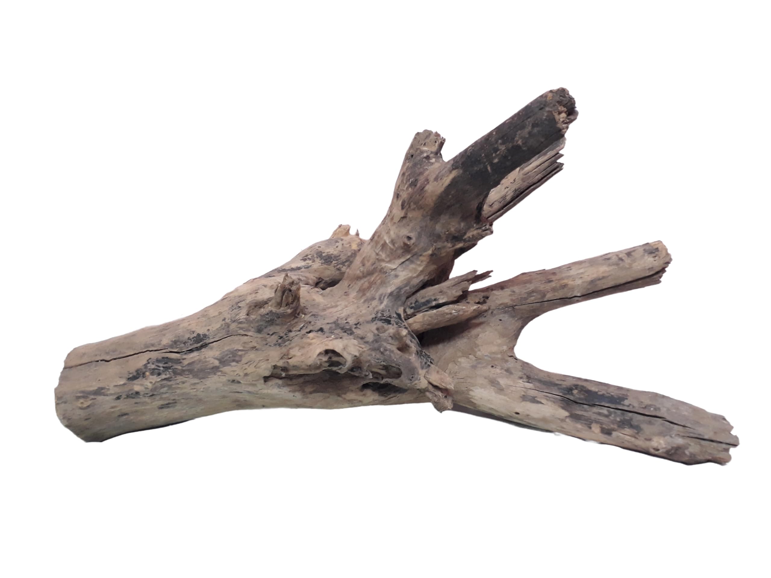 Driftwood For Aquarium Original Teak wood 5.2 KG Weight 64 Cm Long Solid Branch