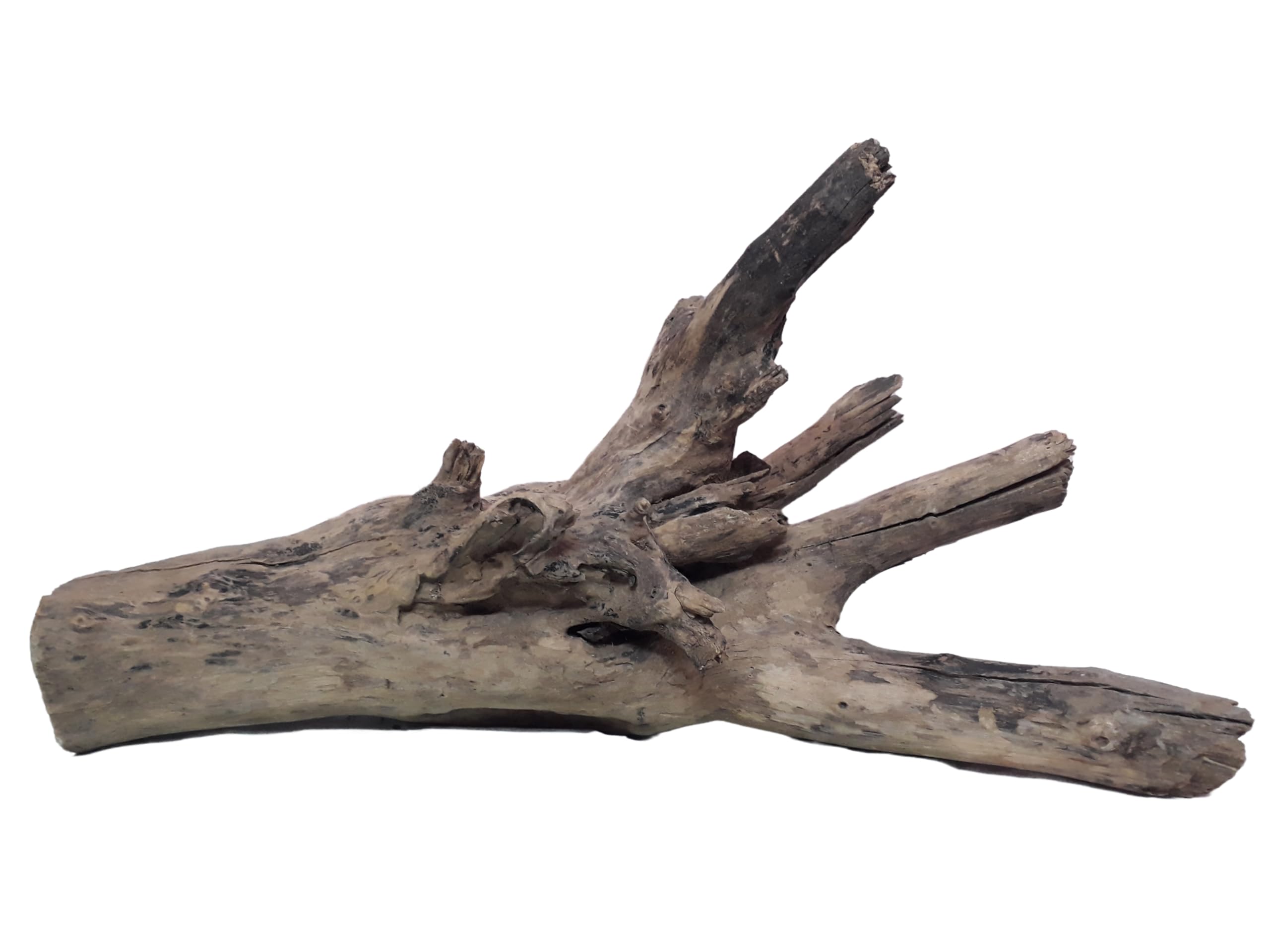 Driftwood For Aquarium Original Teak wood 5.2 KG Weight 64 Cm Long Solid Branch