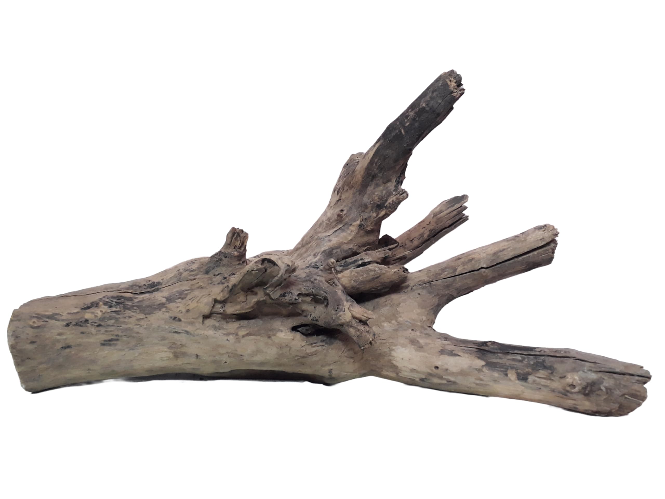 Driftwood For Aquarium Original Teak wood 5.2 KG Weight 64 Cm Long Solid Branch